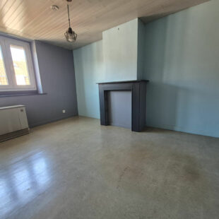 Maison Hellemmes-lille Jardin