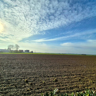 Maison de semi plain-pied – 4 chambres – campagne des Weppes