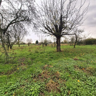 Maison Haspres 5 pièce(s) 137 m2