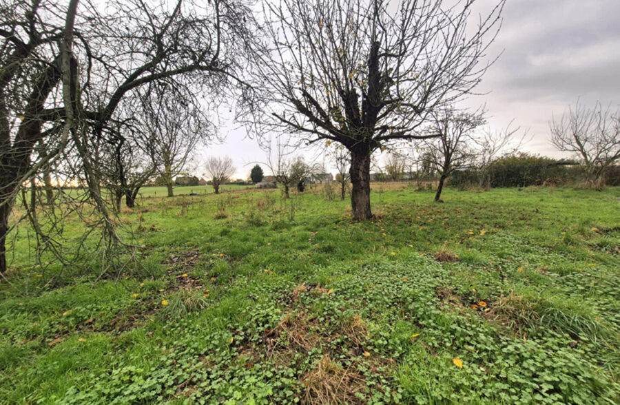 Maison Haspres 5 pièce(s) 137 m2