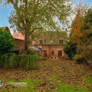 Exclusivité Square Habitat