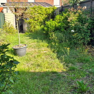 Maison type 1930 à Bailleul
