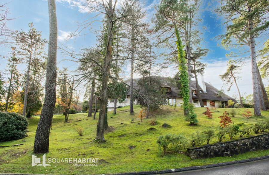 Appartement 2 pièces cabine secteur forêt