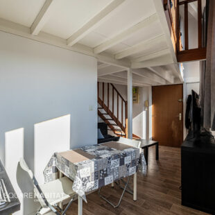 LILLE SAINT-MICHEL-WAZEMMES : TI BIS AVEC CAVE ET PLACE DE PARKING PRIVATIVE