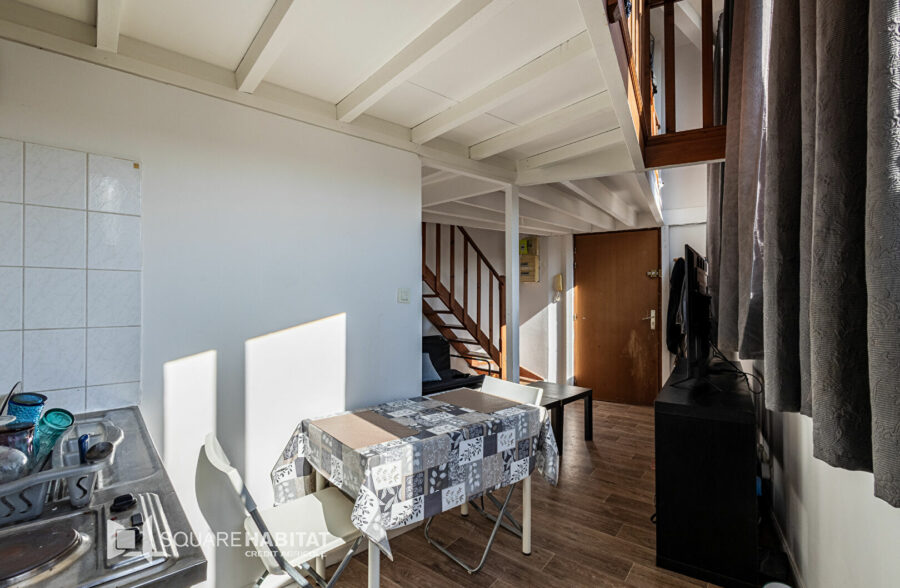 LILLE SAINT-MICHEL-WAZEMMES : TI BIS AVEC CAVE ET PLACE DE PARKING PRIVATIVE