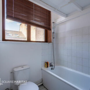 LILLE SAINT-MICHEL-WAZEMMES : TI BIS AVEC CAVE ET PLACE DE PARKING PRIVATIVE