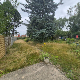 Maison Somain 7 pièce(s) 160 m2