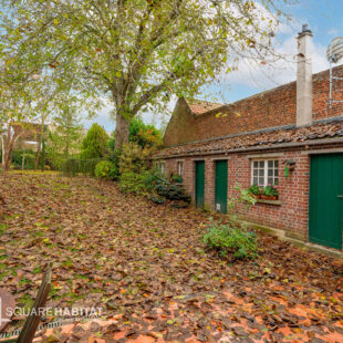 Exclusivité Square Habitat