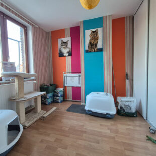 Maison avec 4 chambres jardin, située dans une rue calme.