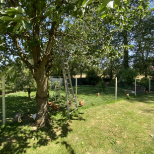 Maison Arras 6 pièce(s) 217 m2