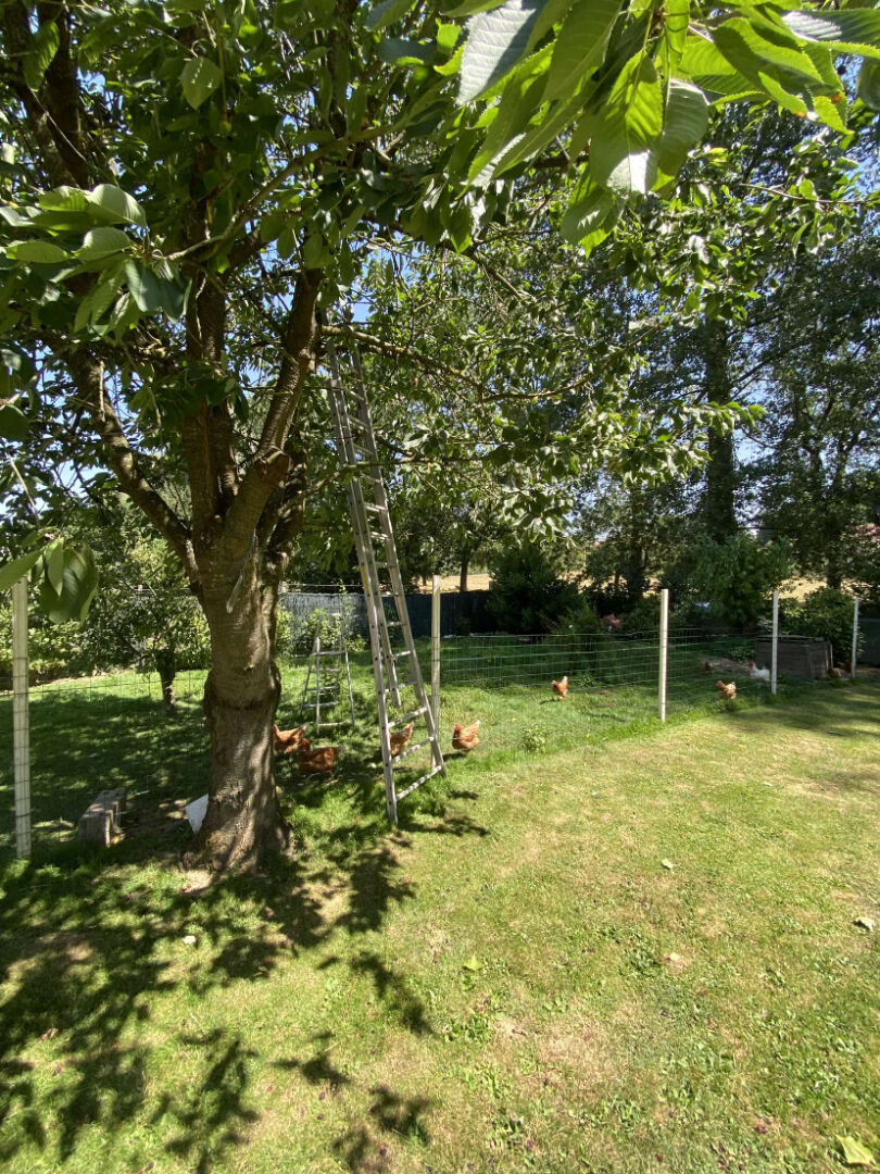 Maison Arras 6 pièce(s) 217 m2