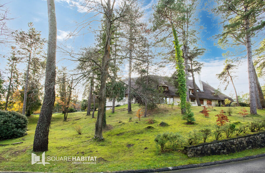 Appartement 2 pièces cabine secteur forêt