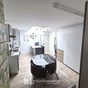 Appartement 33M2