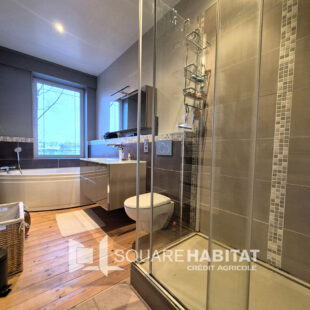 Maison 4 chambres Petite-Synthe