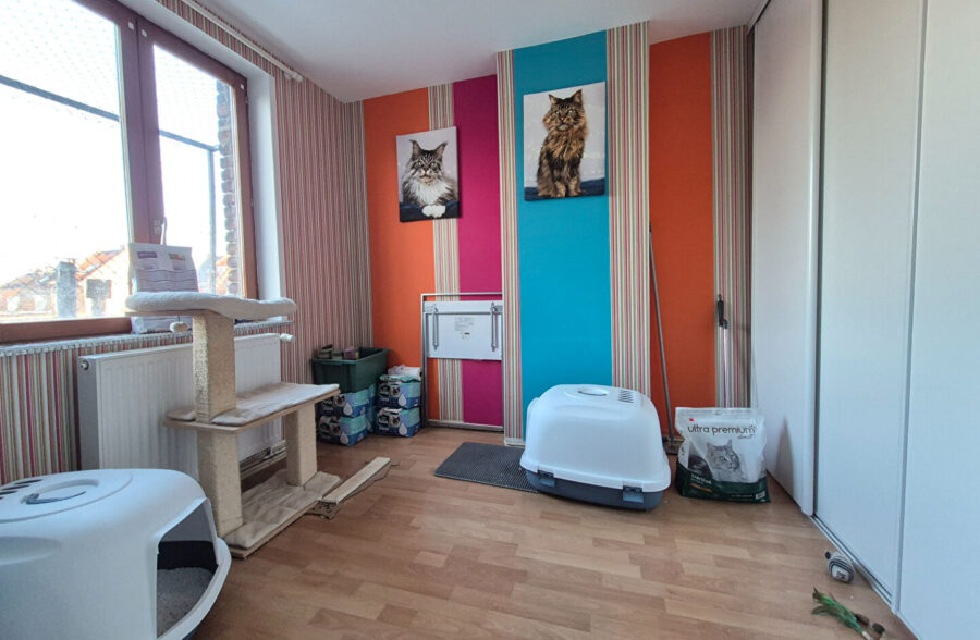 Maison avec 4 chambres, jardin et garage, située dans une rue calme.