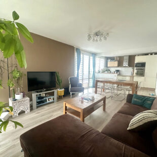 Appartement Wasquehal 3 pièce(s)