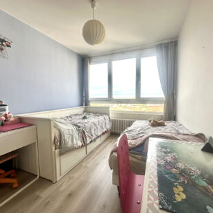 Appartement Wasquehal 3 pièce(s)