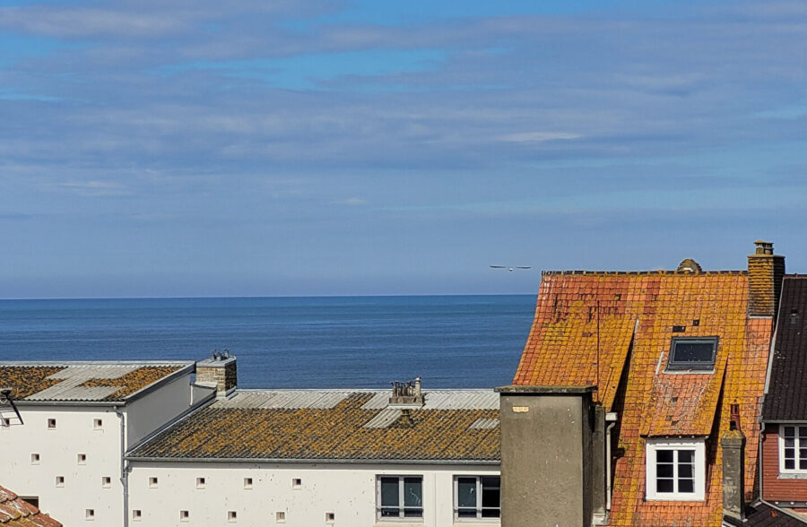 Appartement Le Touquet Paris Plage 1 pièce(s) 22.62 m2