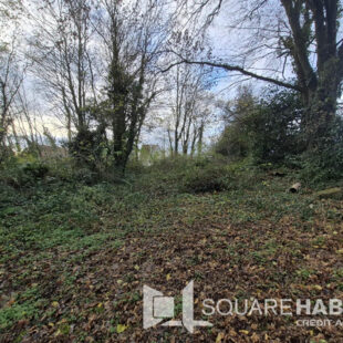 Terrain Ligny St Flochel