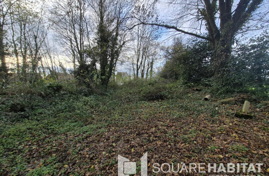 Terrain Ligny St Flochel