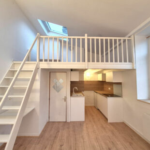 LILLE SAINT-MICHEL : JOLI STUDIO ENTIÈREMENT RÉNOVÉ AVEC MEZZANINE