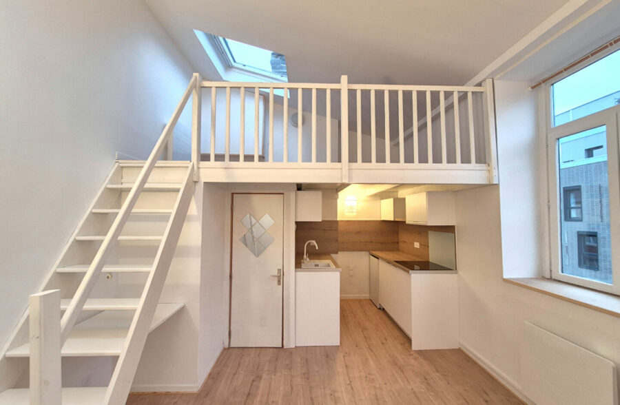 LILLE SAINT-MICHEL : JOLI STUDIO ENTIÈREMENT RÉNOVÉ AVEC MEZZANINE