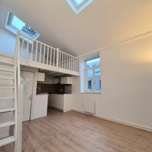 LILLE SAINT-MICHEL : JOLI STUDIO ENTIÈREMENT RÉNOVÉ AVEC MEZZANINE