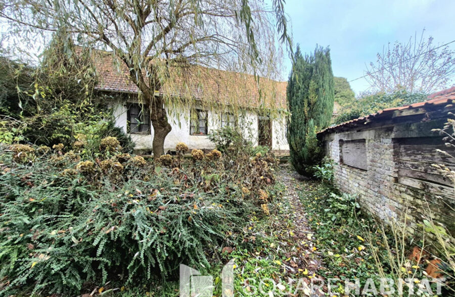 Terrain constructible