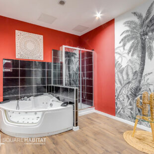 Immeuble d’Exception de 15 chambres en hyper centre de Roubaix 280m2 + Jardin