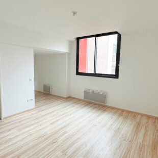 VIEUX LILLE CHARMANT DUPLEX  AVEC TERRASSE