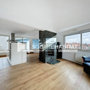 CHARMANT APPARTEMENT T3 AVEC CHEMINÉE ET VERANDA – RONCHIN – GRANDE TERRASSE – GARAGE EN SOUS SOL – CAVE