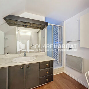 CHARMANT APPARTEMENT T3 AVEC CHEMINÉE ET VERANDA – RONCHIN – GRANDE TERRASSE – GARAGE EN SOUS SOL – CAVE