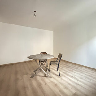 MAISON 2 CHAMBRES AVEC EXTERIEUR ET CAVE – LILLE MOULINS