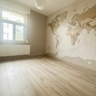 Appartement Wasquehal 3 pièce(s)