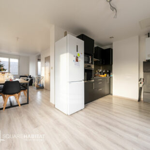 Immeuble comprenant 2 logements et garage