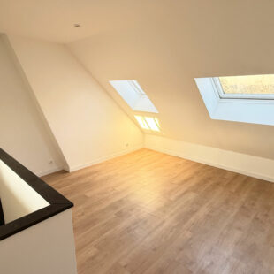 APPARTEMENT 1 CHAMBRE EN DUPLEX  Quartier Vauban / Cormontaigne