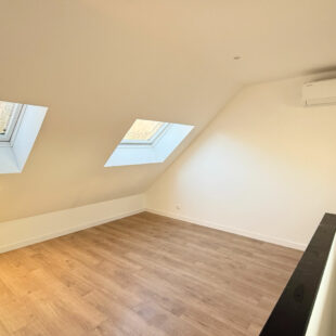 APPARTEMENT 1 CHAMBRE EN DUPLEX  Quartier Vauban / Cormontaigne