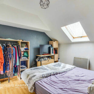 Maison semi-flamande