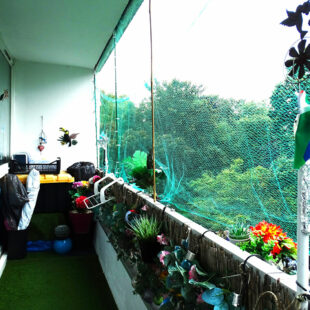 CARLIERS – T4 AVEC BALCON ET VUE SUR PARC