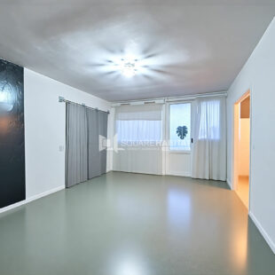 CARLIERS – T4 AVEC BALCON ET VUE SUR PARC