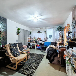 CARLIERS – T4 AVEC BALCON ET VUE SUR PARC