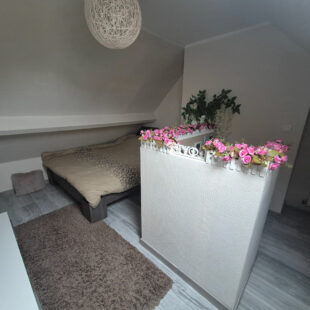 Maison 1930 – Limite Le Pile / La Fraternité – Idéal investisseur ou 1ère acquisition !