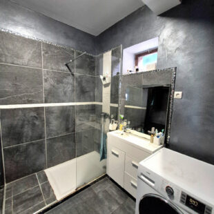 Ensemble Immobilier avec commerce et logement