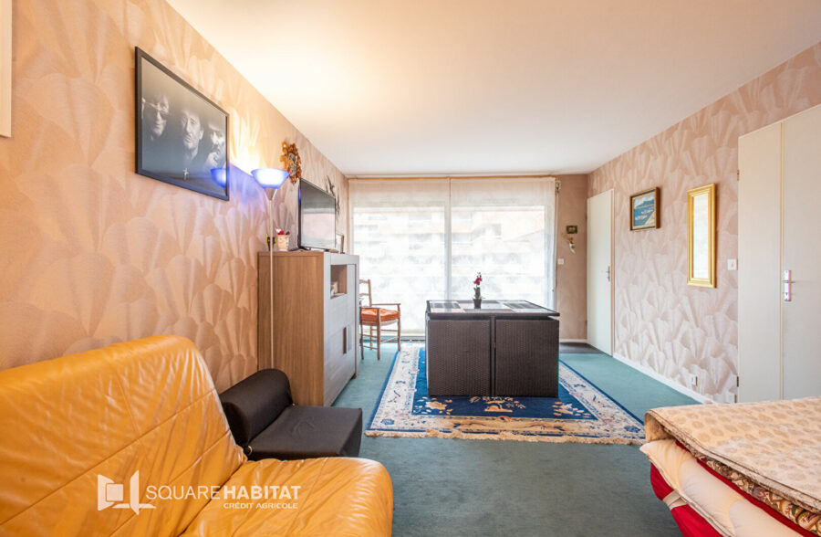 Grand Studio exposé Sud !