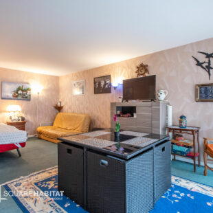 Grand Studio exposé Sud !