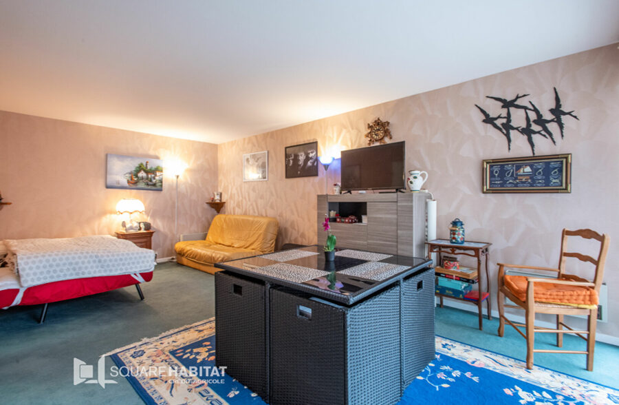 Grand Studio exposé Sud !