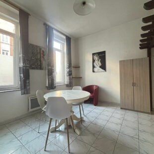 Charmant studio de 20m² avec mezzanine – Quartier Saint-Michel