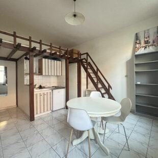 Charmant studio de 20m² avec mezzanine – Quartier Saint-Michel