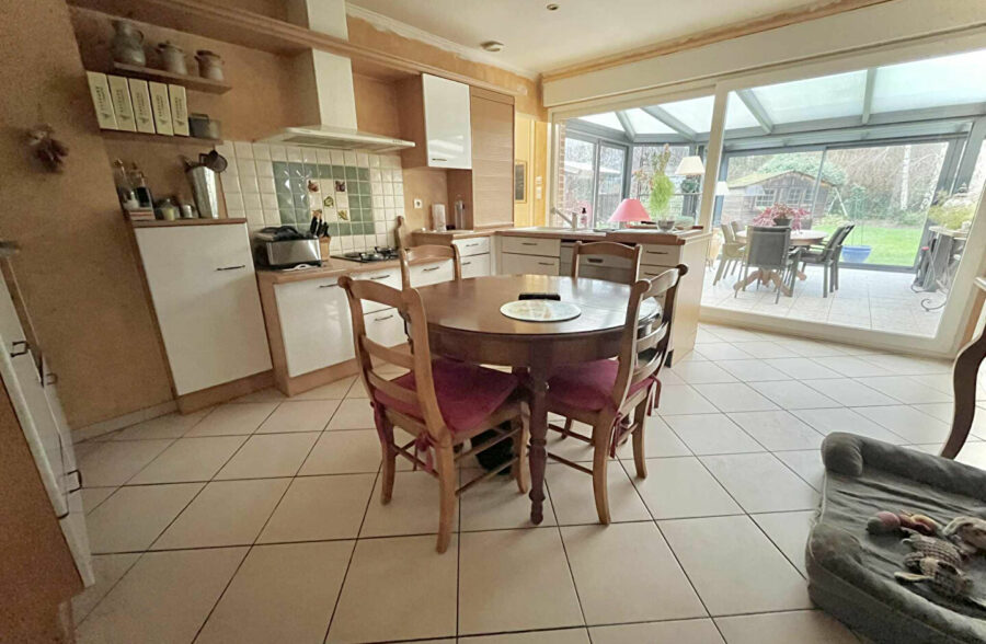 Billy Berclau – Semi Plain PIed individuel