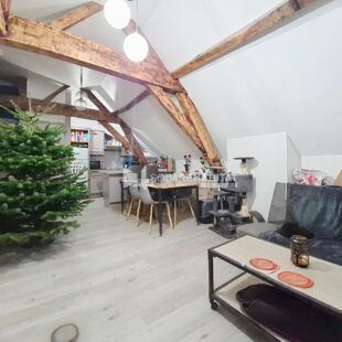 TYPE 2 SUR LA GRAND PLACE + PARKING